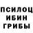 Галлюциногенные грибы прущие грибы Dr. Zeneth