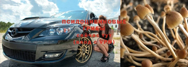 эйфоретик Алексеевка
