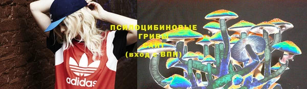 apvp Алексин